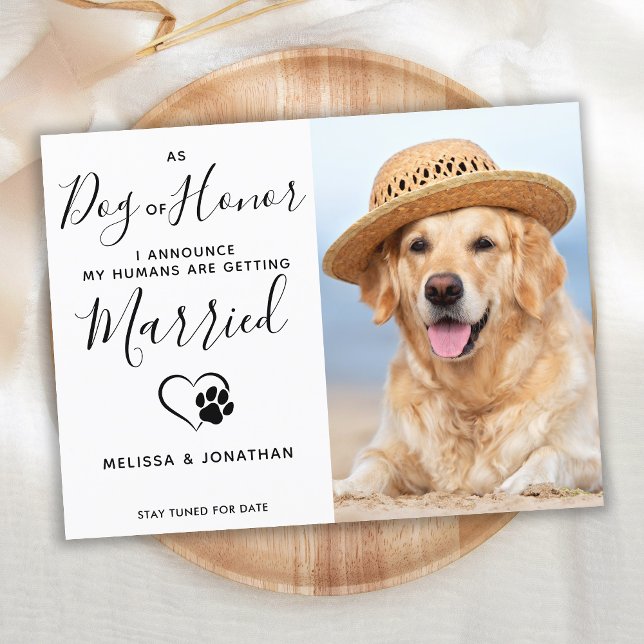 Modern Foto Hund Hedersdjur Bröllop Förlovning Meddelande Vykort (Skapare uppladdad)