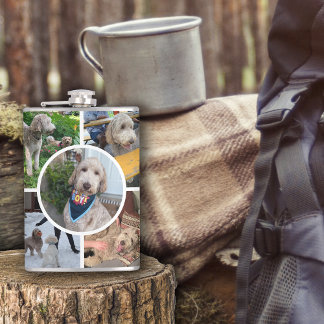 Modern fotosamling fickplunta