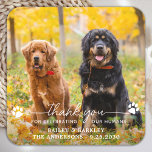 Modern fotoskript Tack Hund Pet Bröllop Underlägg Papper Kvadrat<br><div class="desc">Tack för att fira våra människor! Lägg till den avslutande beröringen till bröllop med den här söta anpassningsbarna fotot på bröllop underlägg. Perfekt till bröllop efter party och mottagning, och som bröllopsförmån för dina gäster. Anpassa fotot hund bröllop underlägg med ditt favoritfoto från bröllop, hund av hederfoto eller ditt nyskapade...</div>