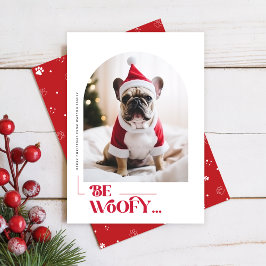 Modern Funny Dog Pet Arch Photo Christmas Julkort