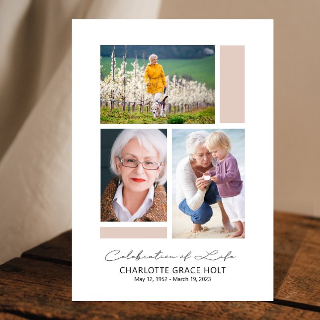 Modern galleriminnesprogram program (Skapare uppladdad)