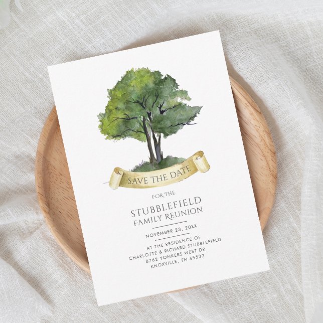 Modern Genealogy Träd Family Reunion Spara datum (Family Tree Genealogy Cousins Gathering Invitation)