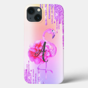 Modern Glitter Drips,Ombre,Monogram,Flamingo