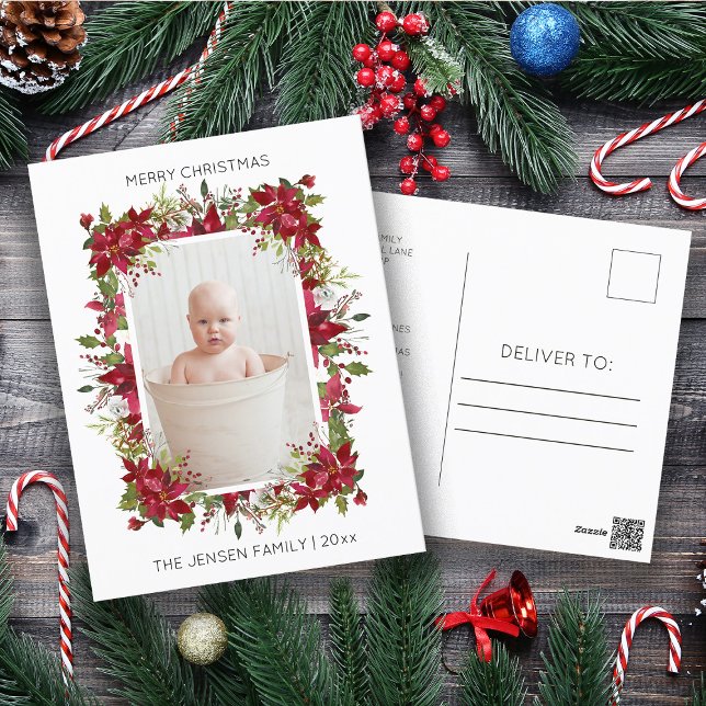 Modern God jul Red Poinsettias Photo Helg Vykort (Poinsettia and pine branches Christmas photo postcard)