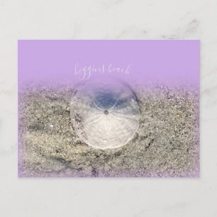 Modern Higgins Beach Maine Sand Dollar Lila Ombr Vykort