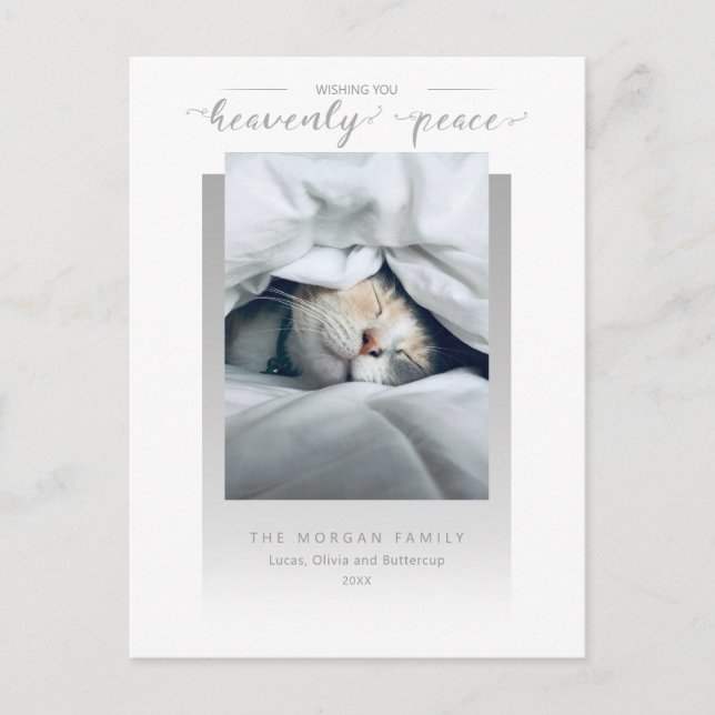 Modern Himmelsk Peace Calligraphy Pet Photo Vykort (Framsida)