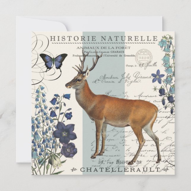 modern hjort av skogsmark i vintage (Framsida)