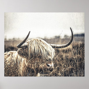 Modern höglandskö i vattenfärg poster