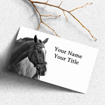 Modern Horse Black and White Equestrian