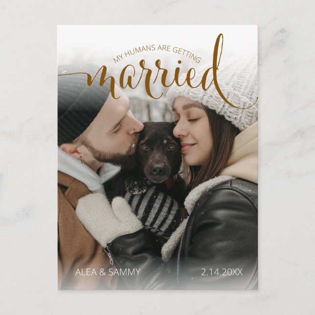 Modern Humans Getting Married Pet Photo Engagement Vykort (Framsida)