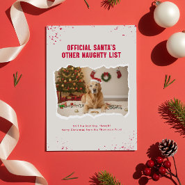 Modern Humor Funny Dog Photo Christmas Julkort