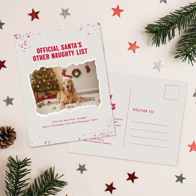 Modern Humor Funny Photo Dog Christmas Postcard Vykort (Skapare uppladdad)