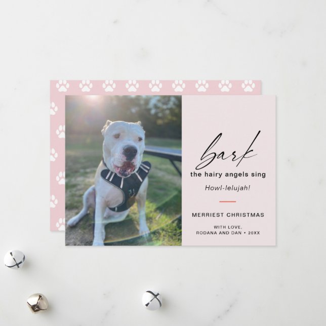 Modern Hund Bark Sjungan Hairy Angles Foto Julkort (Fram/Back In Situ)