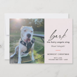 Modern Hund Bark Sjungan Hairy Angles Foto Julkort