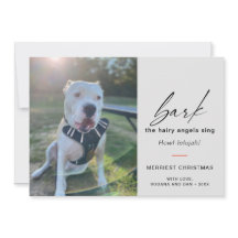 Modern Hund Bark The Hairy Angles Sing Foto