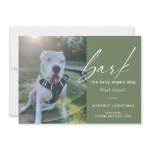 Modern Hund Bark The Hairy Angles Sing Foto