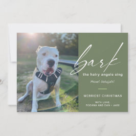 Modern Hund Bark The Hairy Angles Sing Foto Julkort