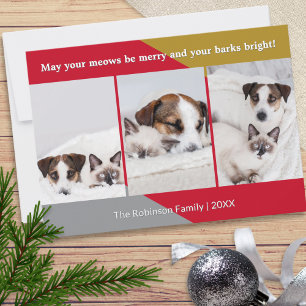 Modern Hund Katt Foto Husdjur Humor Jul Julkort