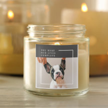 Modern Hund Photo | Hund Offert