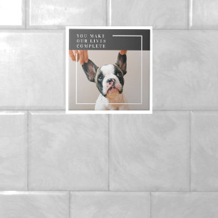 Modern Hund Photo Hund Offert Kakelplatta