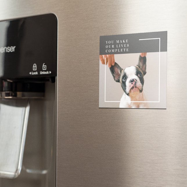 Modern Hund Photo | Hund Offert Magnet (Skapare uppladdad)