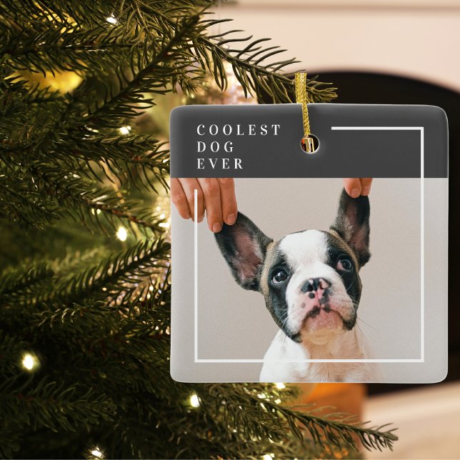 Modern Hund Photo | Ojämnaste Hund någonsin Julgransprydnad Keramik (Skapare uppladdad)