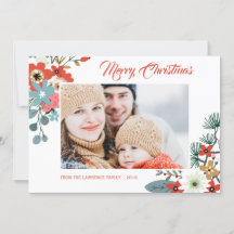 Modern julblommor - blomfoto