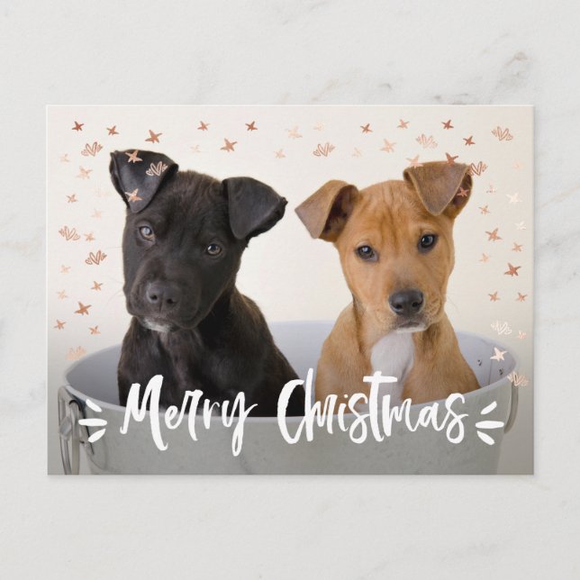 Modern julfoto för penselskript helg vykort (Framsida)