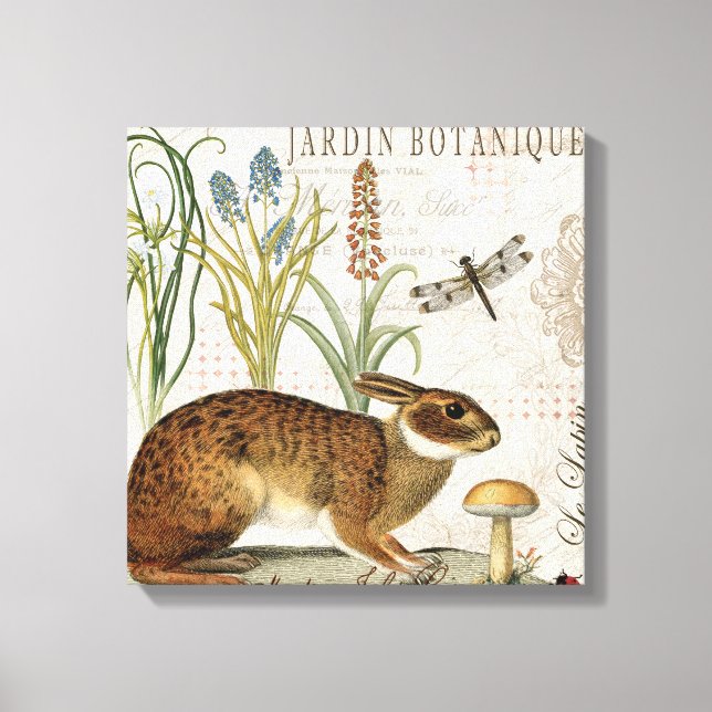 Modern kanin i vintagens fransk i trädgården canvastryck (Framsida)