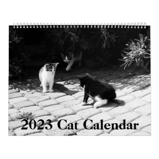 Modern kattkalender 2023 kalender