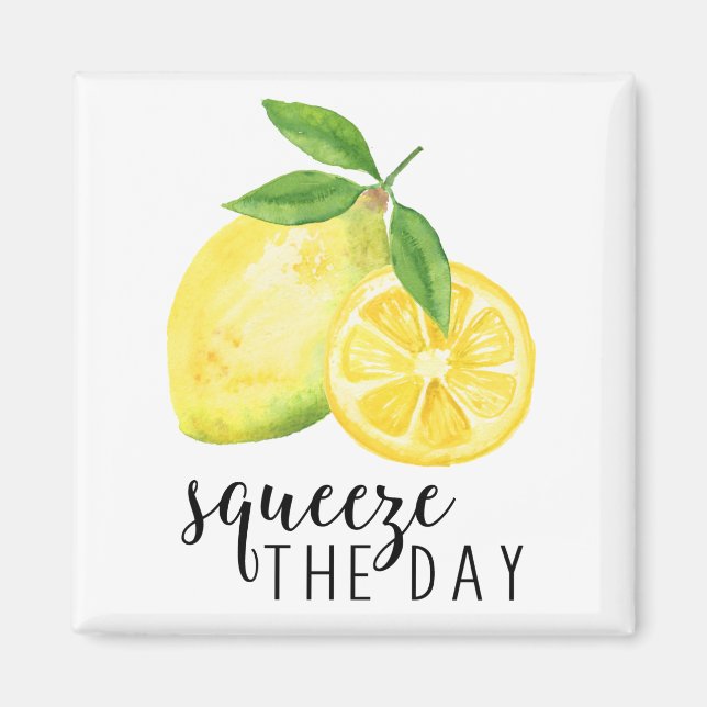 MODERN KITCHEN LEMON PUN MAGNET (Framsidan)