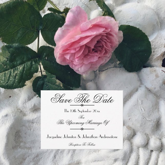 Modern klassisk Namn - vit Spara datum Meddelande (Simple elegant white wedding save the date cards.)