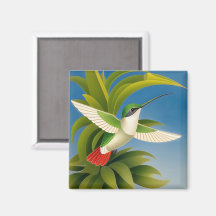 Modern Kolibri