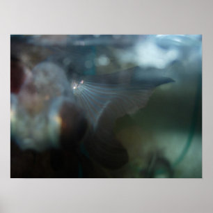 Modern konstnärlig fisk poster