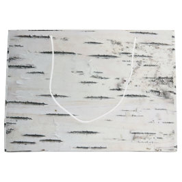 Modern Land Forest Rustic Birch Träd Bark