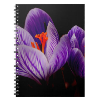 Modern Lila Tulip Flower Anteckningsbok Med Spiral