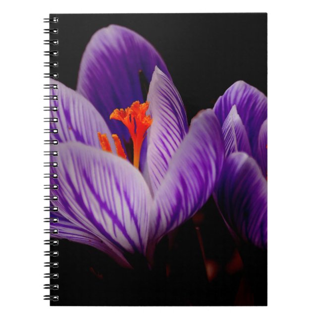 Modern Lila Tulip Flower Anteckningsbok Med Spiral (Framsidan)