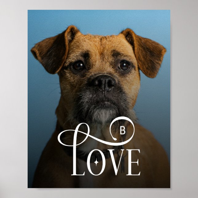Modern Love Custom Boxer Dog Pets Photo Monogram Poster (Framsidan)