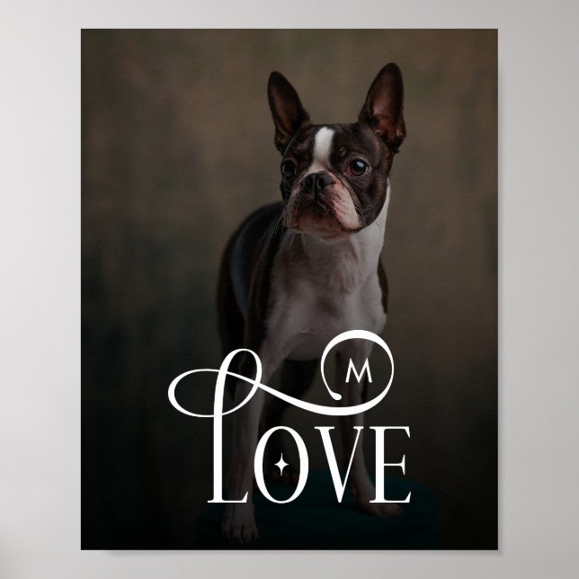 Modern Love Custom Dog Pets Photo Monogram Poster (Framsidan)