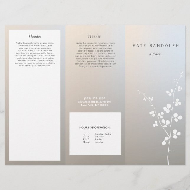 Modern Luminous Silver Salon Spa Brochure (Framsida)
