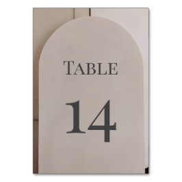 Modern Luxe Arch Wedding Bordsnummer