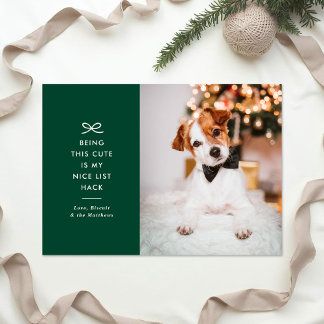Modern Minimal Bow Nice List Pet Christmas Photo Julkort