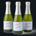 Modern Minimal Minimalist Blue Red Wedding Mini<br><div class="desc">These are Modern Minimal Minimalist Blue and Red Wedding Mini Sparkling Wine Bottle Labels!</div>