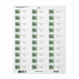 Modern Minimalist Emerald White Address Label Returadress Etikett