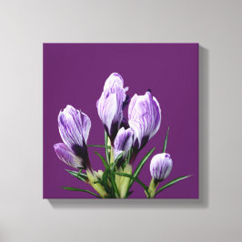 Modern minimalist lila krokus blomstergrej trendy  canvastryck