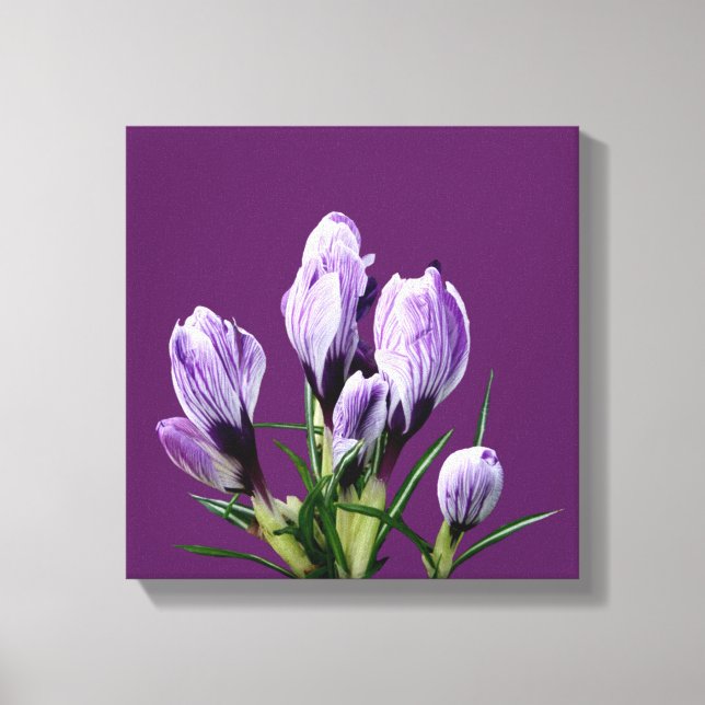 Modern minimalist lila krokus blomstergrej trendy  canvastryck (Framsida)