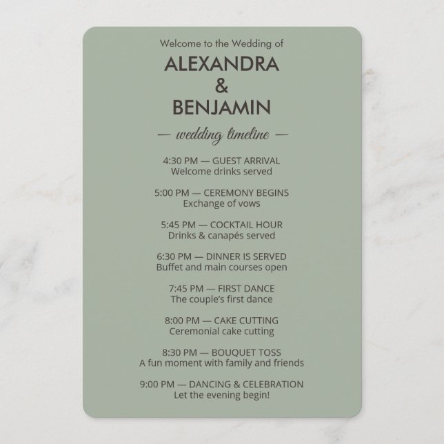 Modern Minimalist Wedding | Sage Green Timeless  Program (Framsida)