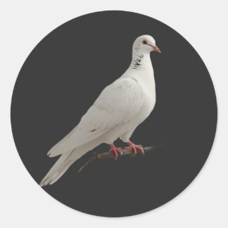 Modern minimalistisk elegant duvkonst runt klistermärke
