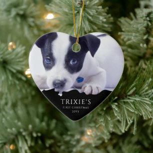 Modern minimalistisk Hund första julfoto Julgransprydnad Keramik
