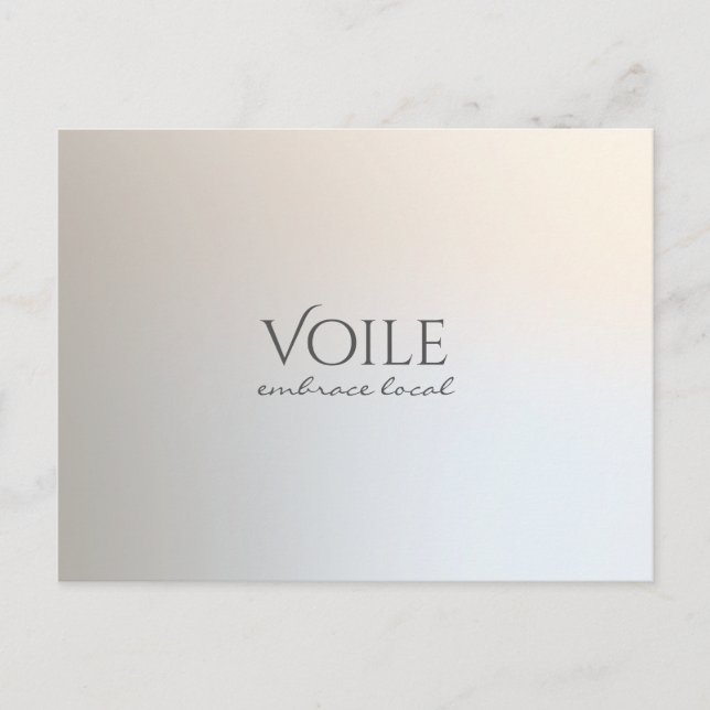 Modern minimalistisk Professionell Luminous Silver Vykort (Framsida)